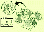 「カゴ状の三次元構造」イメージ