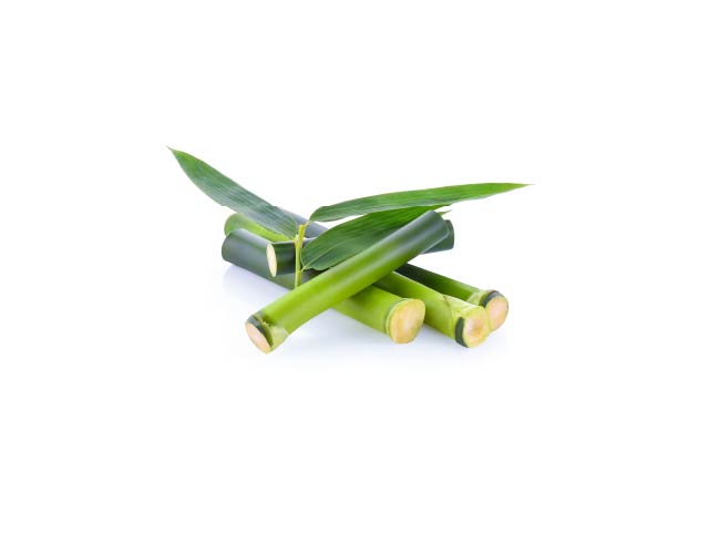 �o���u�[�n�[���j�[