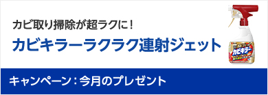 �J�r�L���[ �J�r���|���������N�ɁI