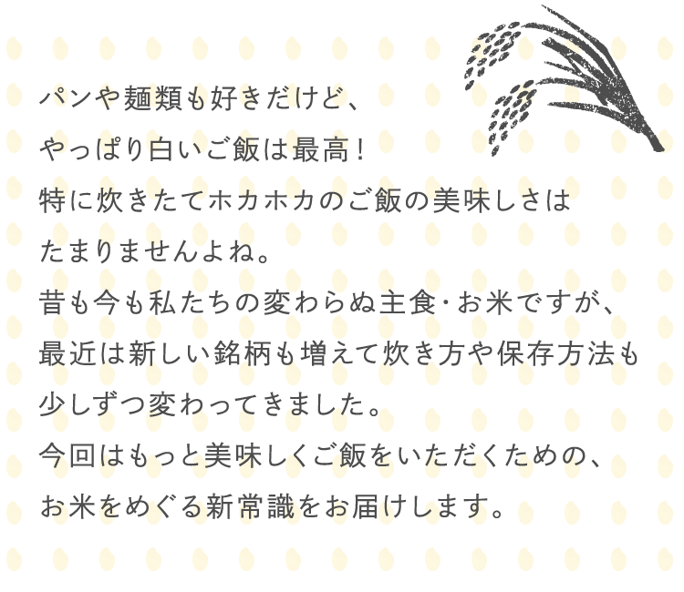 ふっくらツヤツヤ 美味しいご飯を召し上がれ 美的生活のススメ ジョンソン株式会社