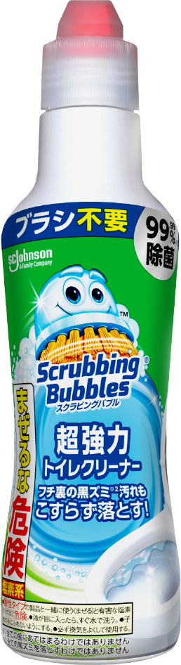 ���󑅃J�r�L���[�i���f�j