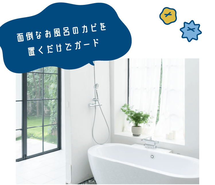 �J�r�L���[�����C�ɒu�������h�J�r�W�F��