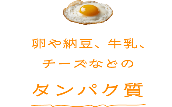 ����[���A�����A�`�[�Y�Ȃǂ̃^���p�N��
