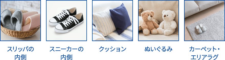 ẑꂱ